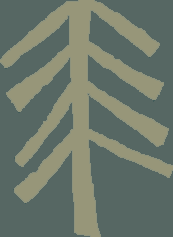 National Park Tree since 1999